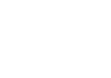 Polo Logo