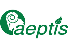 Polo Logo